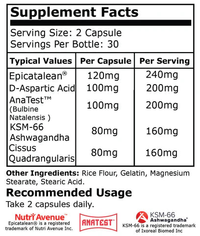 Black Mamba - PCT (Post Cycle Support)