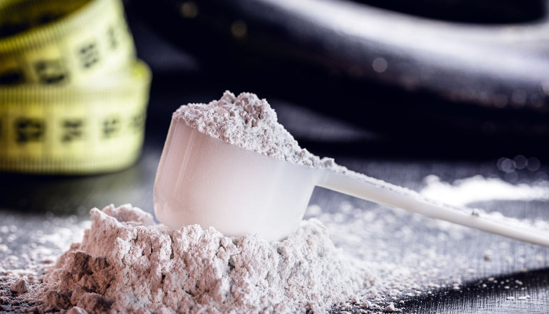 creatine powder